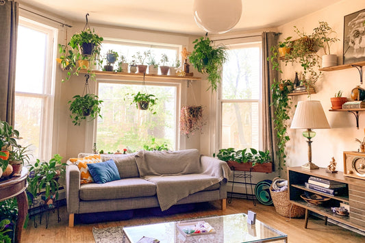 Colour Me Cosy - Home Sweet Boho Home
