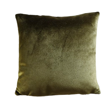 Green textured velvet cushion cover on a white background