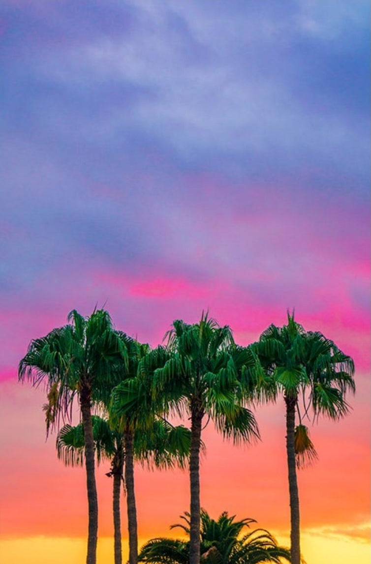 Inspiration photo for Palm Breeze pink and blue Ice-dyed bamboo socks